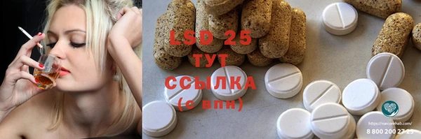 амф Вяземский