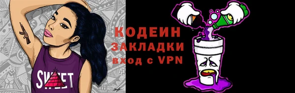 амф Вяземский