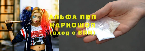 амф Вяземский