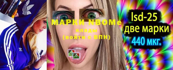 амф Вяземский